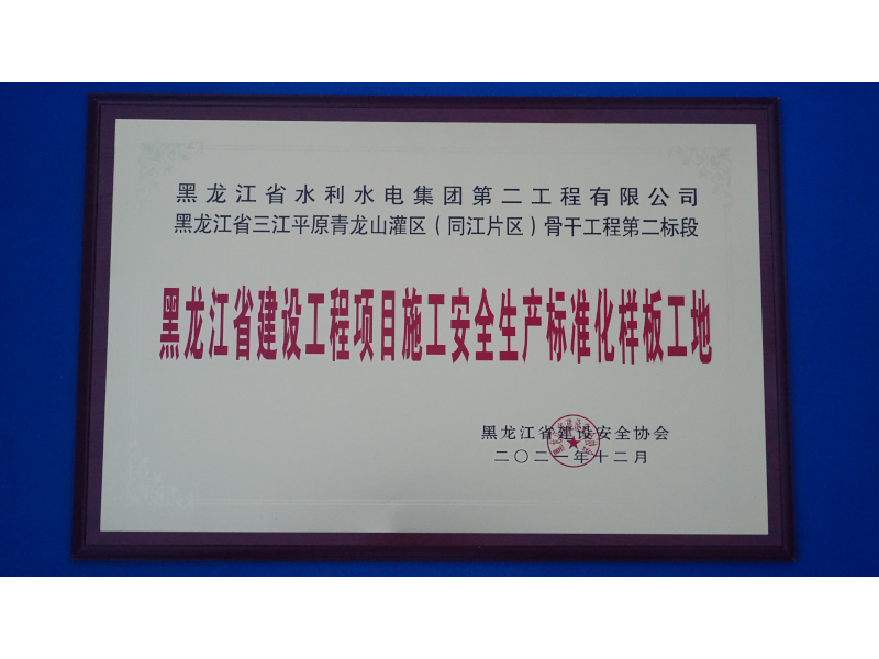 黑龍江省建設(shè)工程項目施工安全生產(chǎn)標(biāo)準(zhǔn)化樣板工地