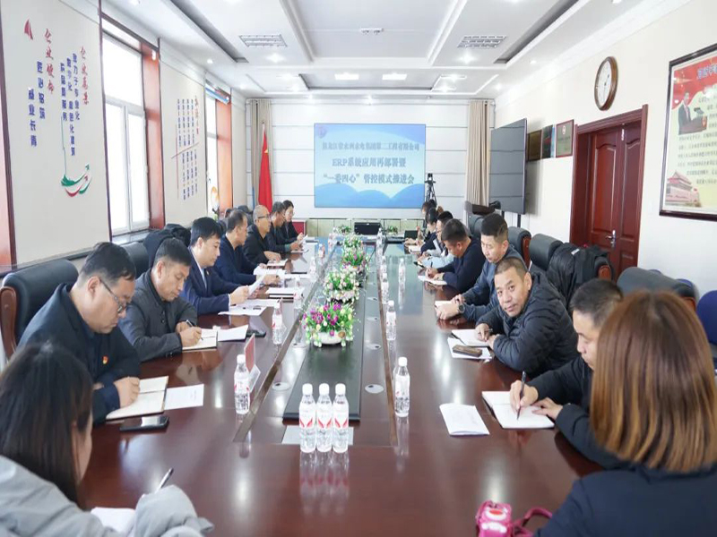 工作落實(shí)年 | 省水利水電集團(tuán)二公司召開ERP系統(tǒng)應(yīng)用再部署暨“一委四心”管控模